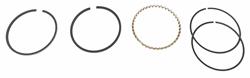 Hastings Premium Ductile Ring Sets 2C564S
