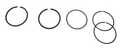 Hastings Premium Ductile Ring Sets 2C652S020