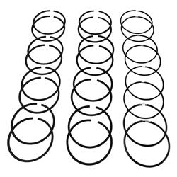 Hastings Premium Ductile Ring Sets 2D5693