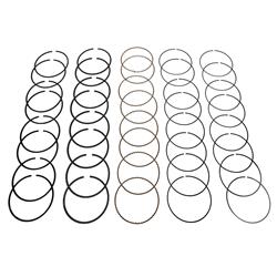 Hastings Premium Ductile Ring Sets 2M4346030