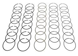 Hastings Premium Ductile Ring Sets 2M4628020