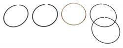 Hastings Premium Ductile Ring Sets 2M4628S