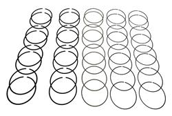 Hastings Premium Ductile Ring Sets 2M4726005
