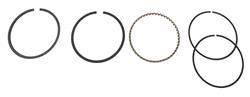 Hastings Premium Ductile Ring Sets 2M5519S