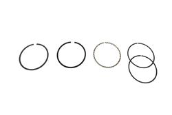 Hastings Premium Ductile Ring Sets 2M5527S040