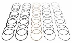 Hastings Premium Ductile Ring Sets 2M5528005