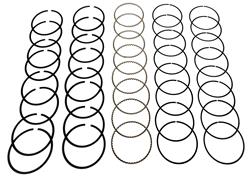 Hastings Premium Ductile Ring Sets 2M5528045