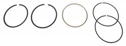 Hastings Premium Ductile Ring Sets 2M5528S005