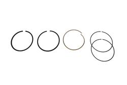 Hastings Premium Ductile Ring Sets 2M5538S030
