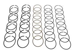 Hastings Premium Ductile Ring Sets 2M568040