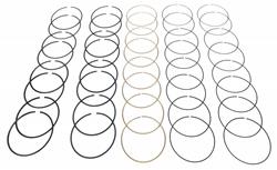 Hastings Premium Ductile Ring Sets 2M8569030
