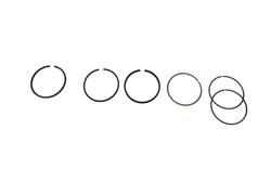 Hastings Piston Ring Sets 446S040