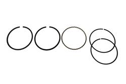 Hastings Piston Ring Sets 639S060