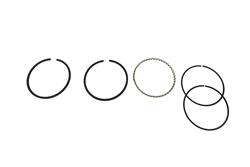 Hastings Piston Ring Sets 639S