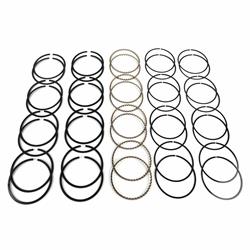 Hastings Claimer Series Performance Piston Ring Sets CM5532020