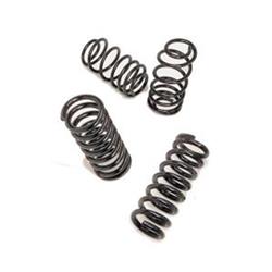Hotchkis Sport Suspension Coil Springs 19119