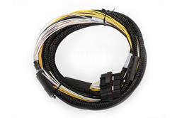 HalTech HPI High Power Igniter Flying Lead Harnesses HT-040024