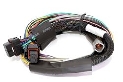 HalTech Elite Basic Universal Wire-In Harnesses HT-141302