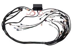 HalTech Elite 2000/2500 GM Gen III LS1/LS6 Non-DBW Terminated Harness HT-141360