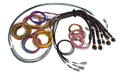 HalTech Nexus R5 Universal Wire-In Harnesses HT-185201