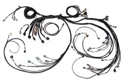 Haltech Wiring Harnesses HT-186205