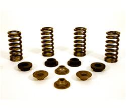 Isky Racing Cams Valve Springs 12300