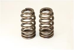 Isky Racing Cams Valve Springs 175A