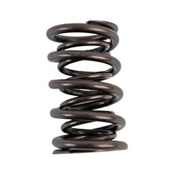 Isky Valve Springs 700512
