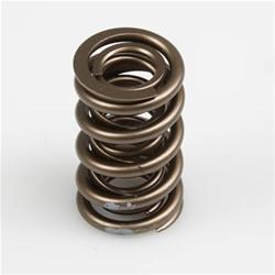 Isky Tool Room RAD Racing Valve Springs