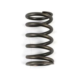 Isky Valve Springs SP116
