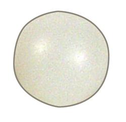 Integra Coilover Components 310 30200-3