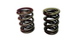 JR Race Car Valve Springs 588-GP965-2