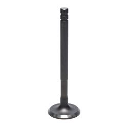 Kanter Engine Valves VE2229