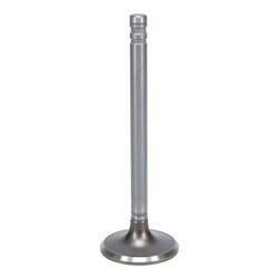Kanter Engine Valves VE2546