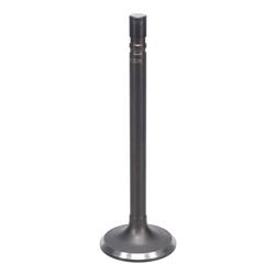 Kanter Engine Valves for 1966-1969 TEMPEST, LEMANS, 1967-1969 FIREBIRD - VE2579