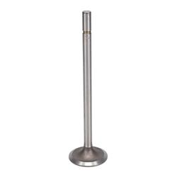 Kanter Engine Valves VI1641