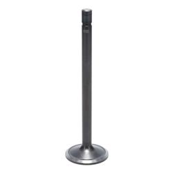 Kanter Engine Valves VI1825