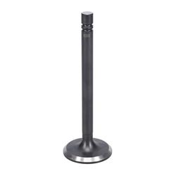 Kanter Engine Valves VI2013