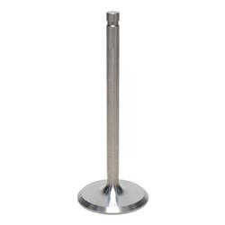 Kanter Engine Valves VI2107