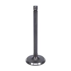 Kanter Engine Valves VI2210