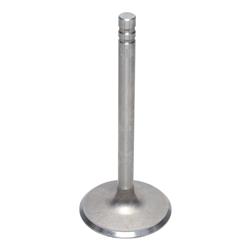 Kanter Engine Valves VI2387
