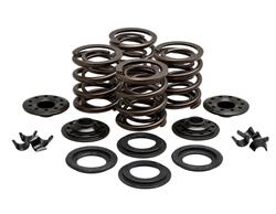 Kibblewhite OEM Replacement Valve Spring Kits 20-20425