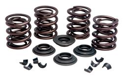 Kibblewhite OEM Replacement Valve Spring Kits 20-20430