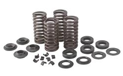 Kibblewhite OEM Replacement Valve Spring Kits 20-20480