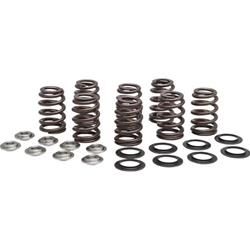 Kibblewhite High Performance Ovate Wire Valve Spring Kits 20-21000