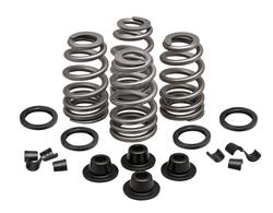Kibblewhite High Performance Ovate Wire Valve Spring Kits 20-21500
