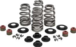 Kibblewhite High Performance Ovate Wire Valve Spring Kits 20-21550