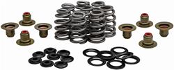Kibblewhite Powersports Valve Springs 20-21850