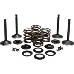 Kibblewhite Powersports Valvetrain Kits 20-22050