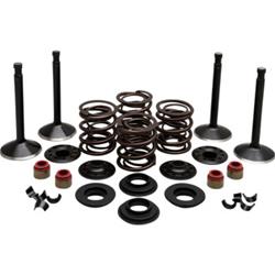 Kibblewhite Powersports Valvetrain Kits 20-22450